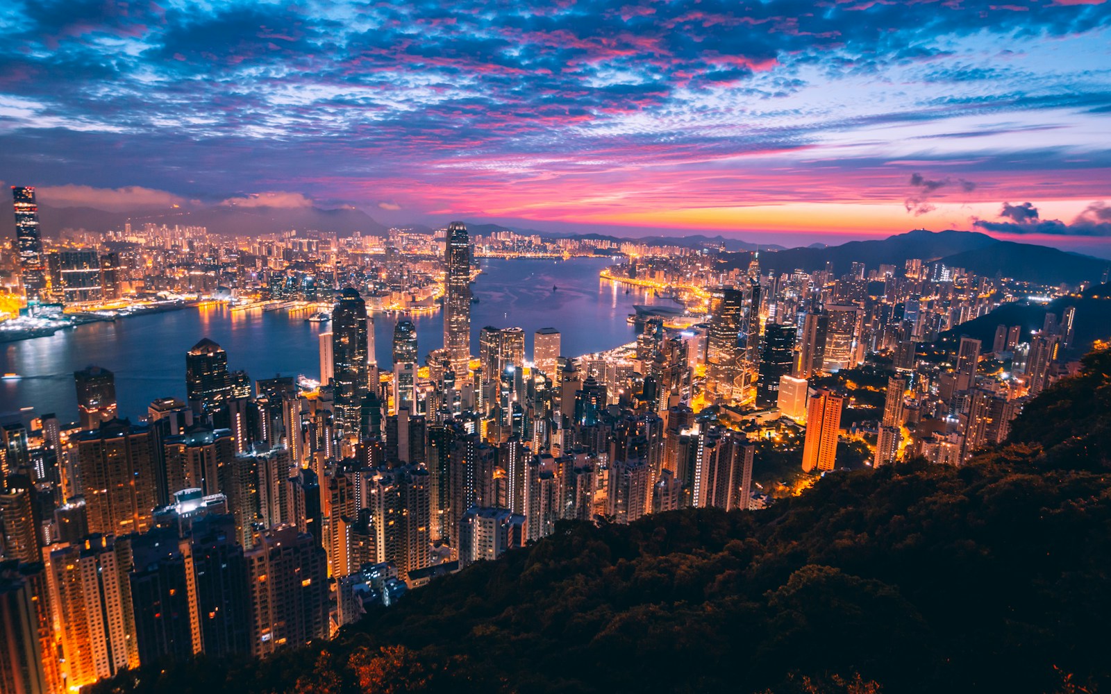 香港高才赴港行动指南：把生活安排与职业计划做成可执行清单